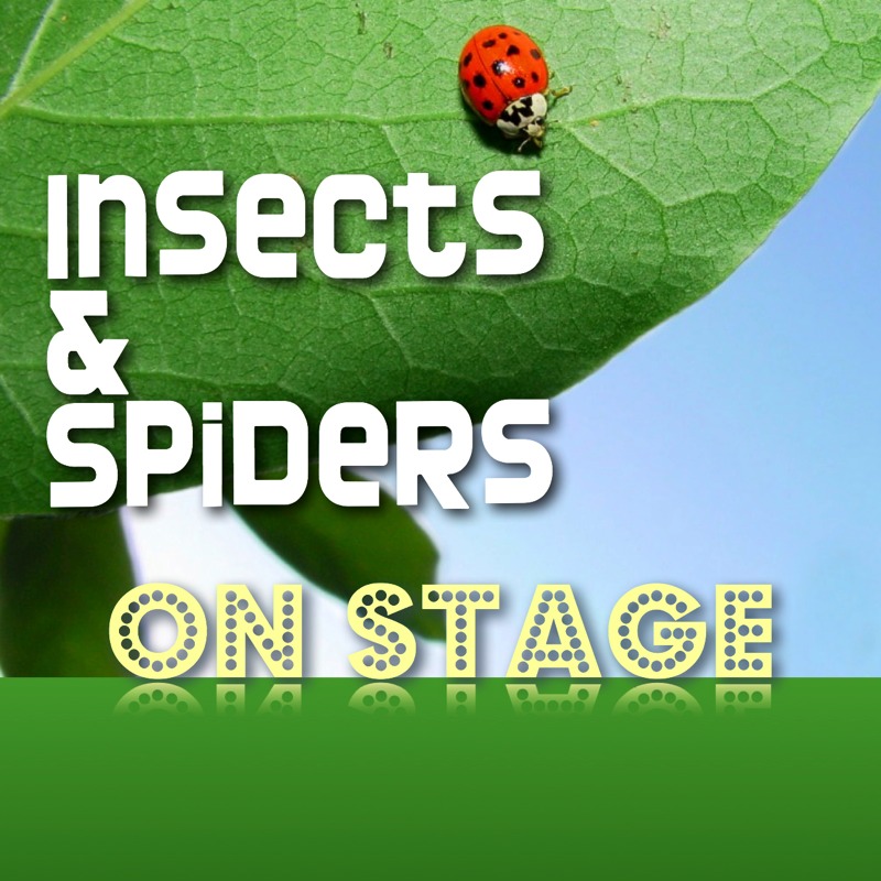 insects_and_spiders_on_stage